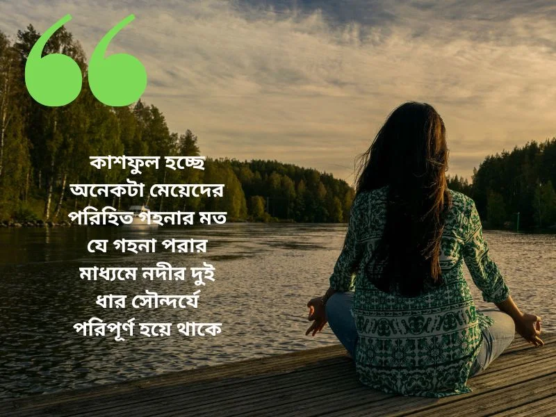 কাশফুল নিয়ে ক্যাপশন