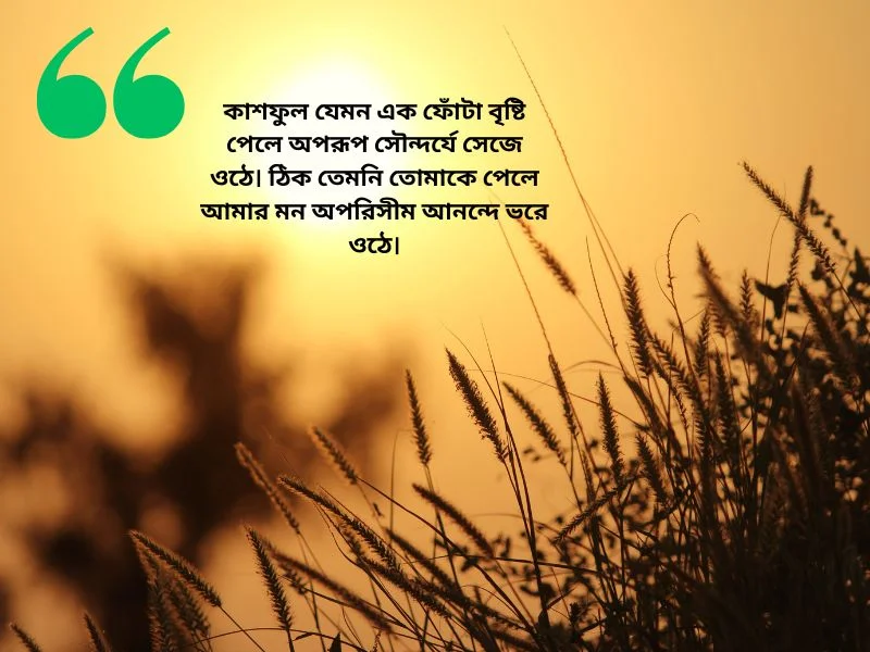 কাশফুল নিয়ে ছন্দ