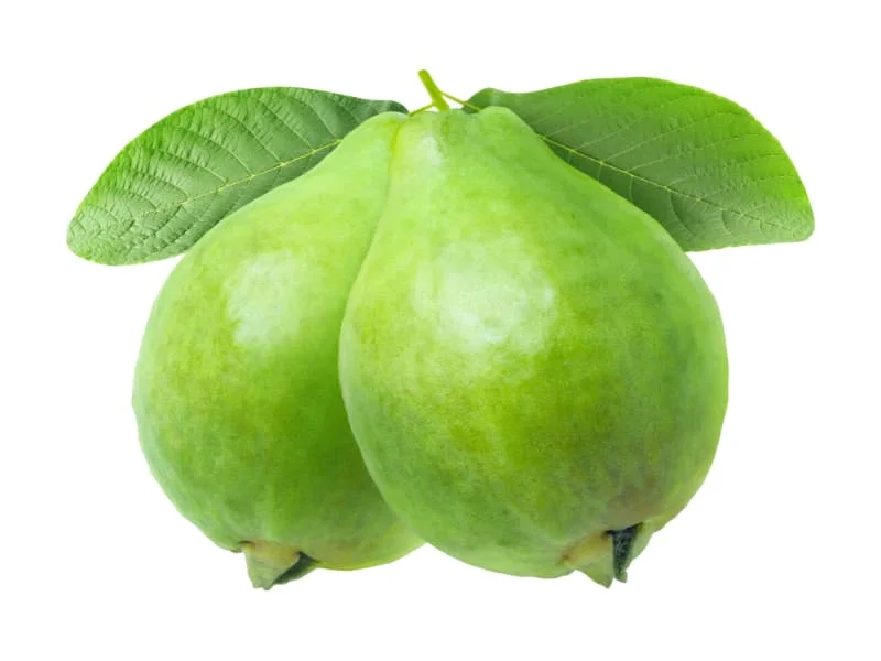 পেয়ারা