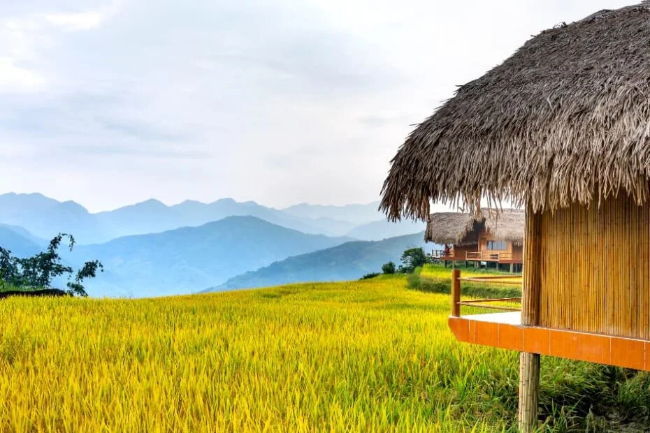 আবার আসিব ফিরে কবিতা - জীবনানন্দ দাশ